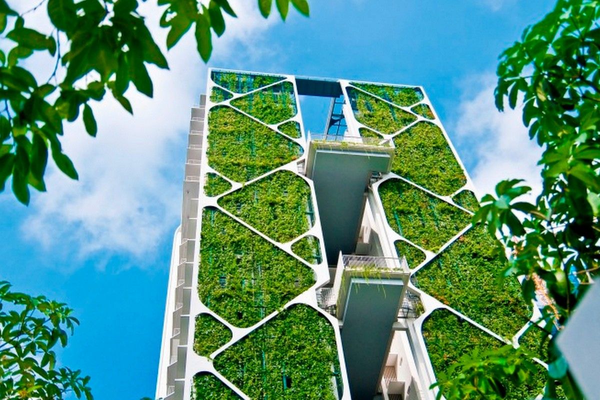 aerial photography of buildings and trees at daytime
